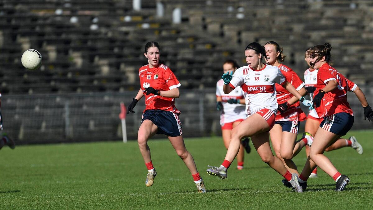 ‘More effort sees Moy Davitts book senior return