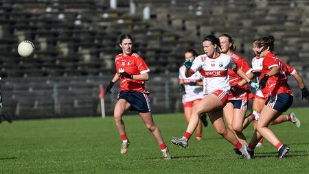 ‘More effort sees Moy Davitts book senior return 