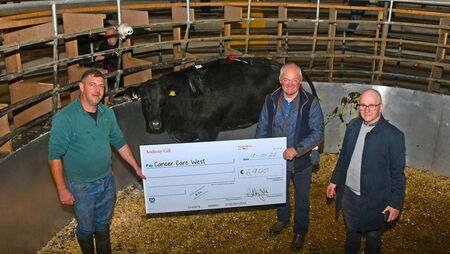Local Farmers donate top quality heifer as charity lot at annual elite sale