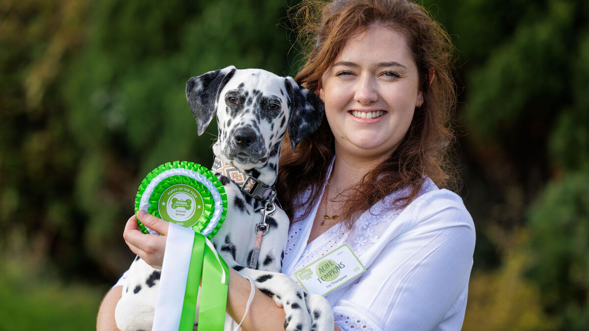 Ballina’s Ivy wins Petmania Puppy of the Year