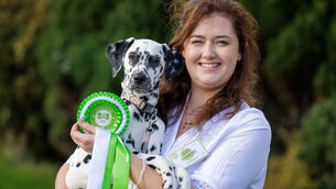 <p>Ivy a Dalmatian from Ballina, Co. Mayo, is pictured with Aoife Tompkins after being crowned overall Petmania Puppy of the Year 2026 winner and Connacht provincial winner at the Pet Expo Grand Final in Dublin on Saturday, 17 October. </p> <p>Ivy a Dalmatian from Ballina, Co. Mayo, is pictured with Aoife Tompkins after being crowned overall Petmania Puppy of the Year 2026 winner and Connacht provincial winner at the Pet Expo Grand Final in Dublin on Saturday, 17 October. </p>