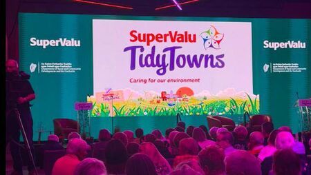 Ballina strikes gold again at Tidy Towns awards 