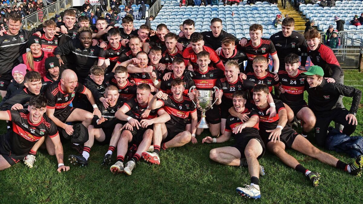 Life’s a breeze as Davitts secure return to senior