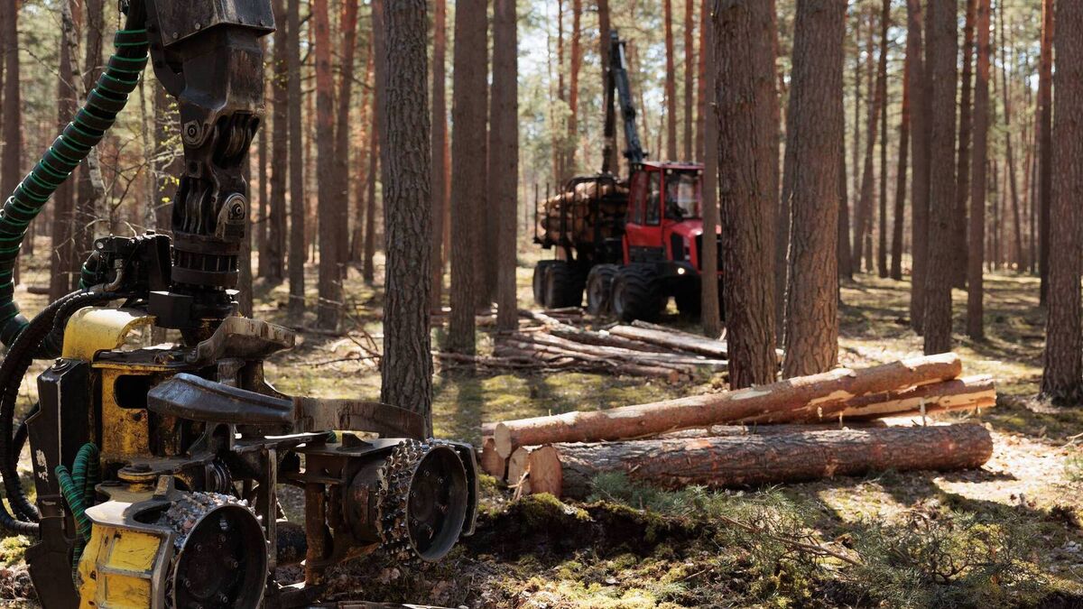 Forest Industries Ireland welcomes Budget 2027