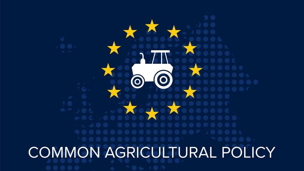 IFA Hosts National Lobby Event on CAP