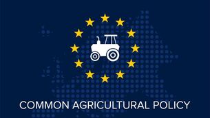 IFA Rep says strong market conditions must return higher beef prices