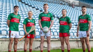 <p>The new jersey will once again carry the familiar green and red colours that unite Mayo supporters at home and abroad.</p>