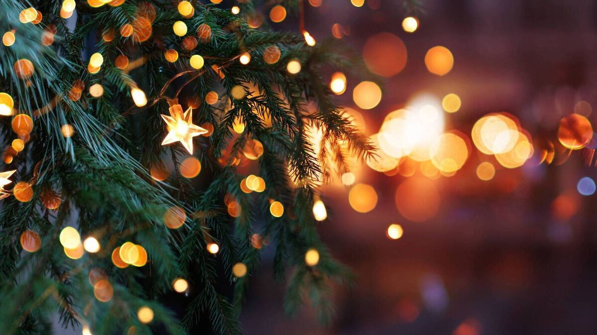 Ballina Lights Committee hits back at local councillor's comments